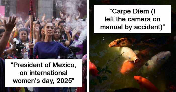 111 Times People Snapped Pics So Beautiful They Ended Up In “Accidental Renaissance” (New Pics)