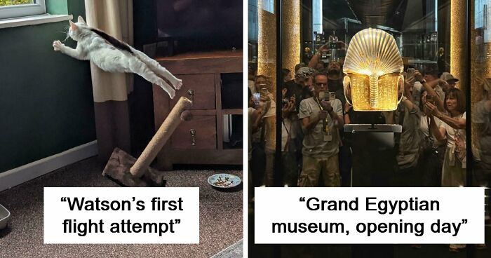 111 Times People Took A Photograph Only To Realize They’d Captured A Renaissance Masterpiece (New Pics)