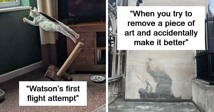 111 Times People Took A Photograph Only To Realize They’d Captured A Renaissance Masterpiece (New Pics)