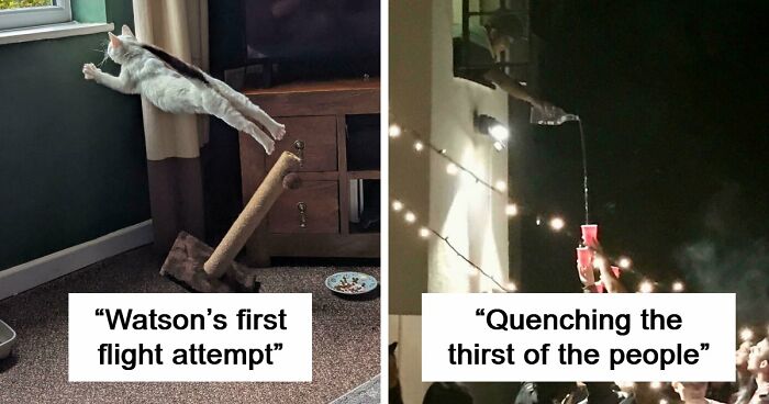 111 Times People Snapped Pics So Beautiful They Ended Up In “Accidental Renaissance” (New Pics)