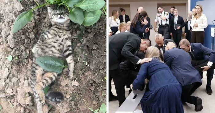 111 Times People Took A Photograph Only To Realize They’d Captured A Renaissance Masterpiece (New Pics)