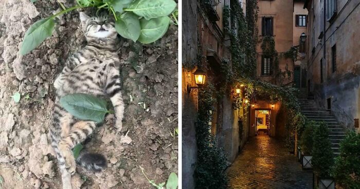 111 Times People Took A Photograph Only To Realize They’d Captured A Renaissance Masterpiece (New Pics)