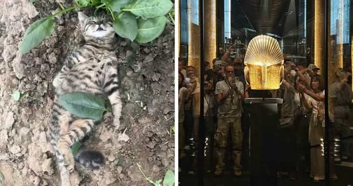 111 Times People Took A Photograph Only To Realize They’d Captured A Renaissance Masterpiece (New Pics)