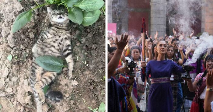 111 Times People Took A Photograph Only To Realize They’d Captured A Renaissance Masterpiece (New Pics)