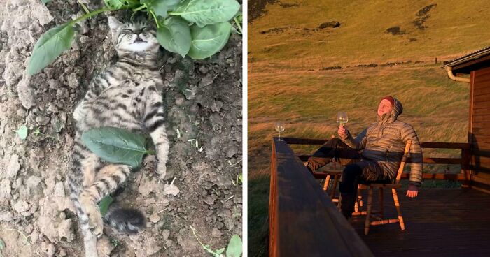 111 Times People Took A Photograph Only To Realize They’d Captured A Renaissance Masterpiece (New Pics)