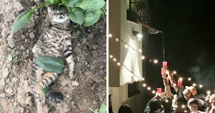 111 Times People Took A Photograph Only To Realize They’d Captured A Renaissance Masterpiece (New Pics)