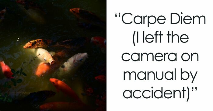 111 Times People Took A Photograph Only To Realize They’d Captured A Renaissance Masterpiece (New Pics)