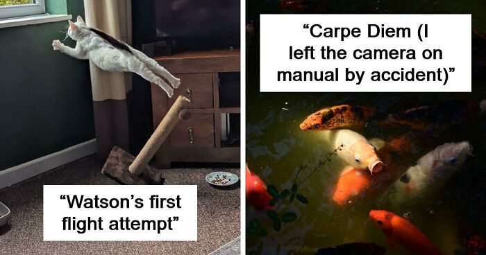 111 Times People Took A Photograph Only To Realize They’d Captured A Renaissance Masterpiece (New Pics)