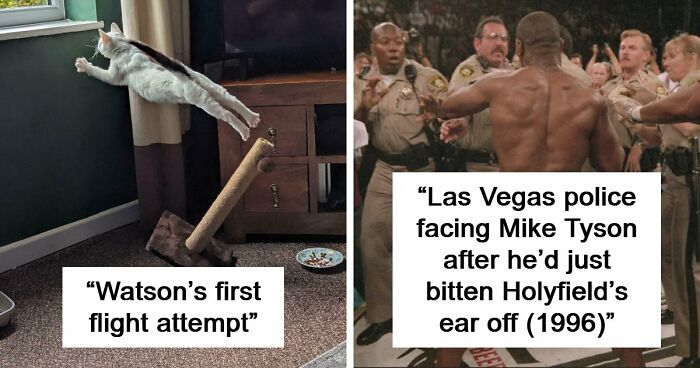 111 Accidental Photos That Look Like They Belong In An Art Gallery (New Pics)