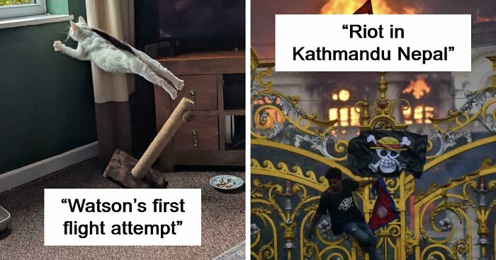 111 Times People Took A Photograph Only To Realize They’d Captured A Renaissance Masterpiece (New Pics)