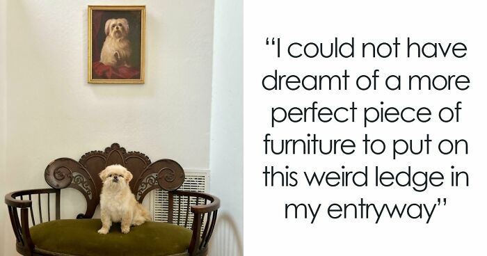 115 Antique Finds So Amazing You Might Get Really Jealous (New Pics)