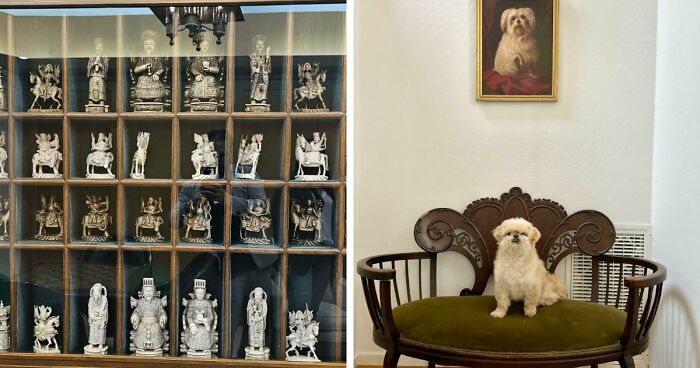 115 Antique Finds So Amazing You Might Get Really Jealous (New Pics)