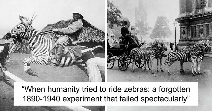 “Archive Of Humanity”: 109 Photos Showing The Most Important Moments In Our History