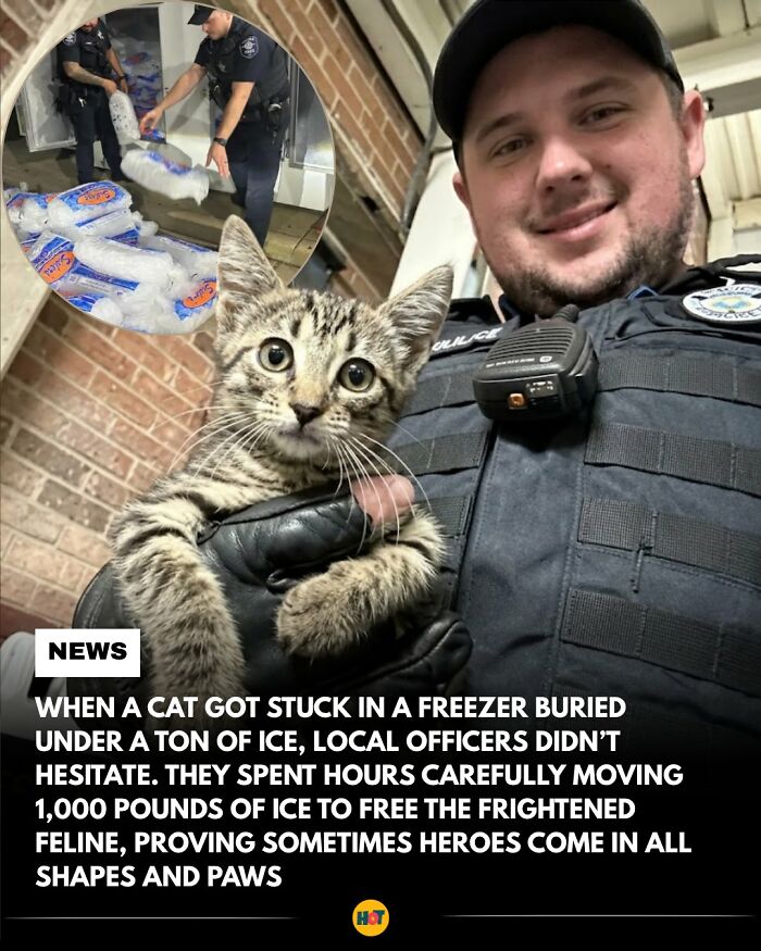 Interesting-Facts-Heaven-Of-Tips