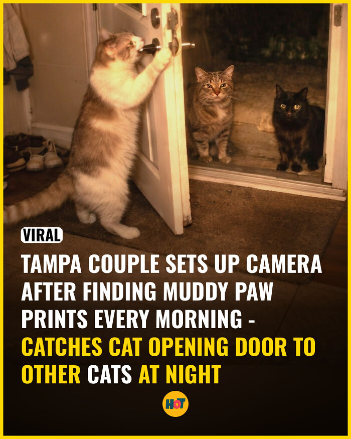 Interesting-Facts-Heaven-Of-Tips