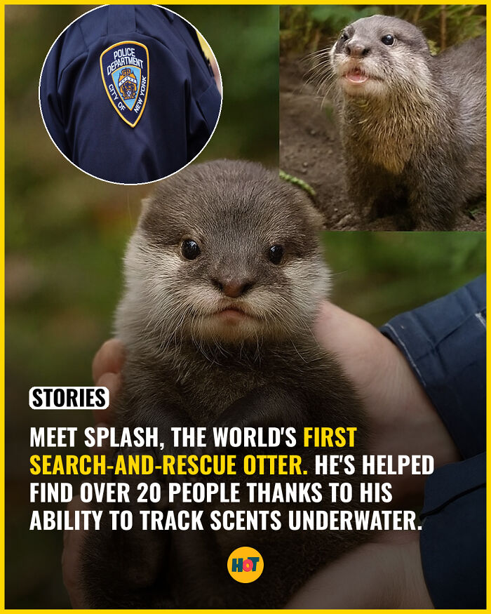 Interesting-Facts-Heaven-Of-Tips