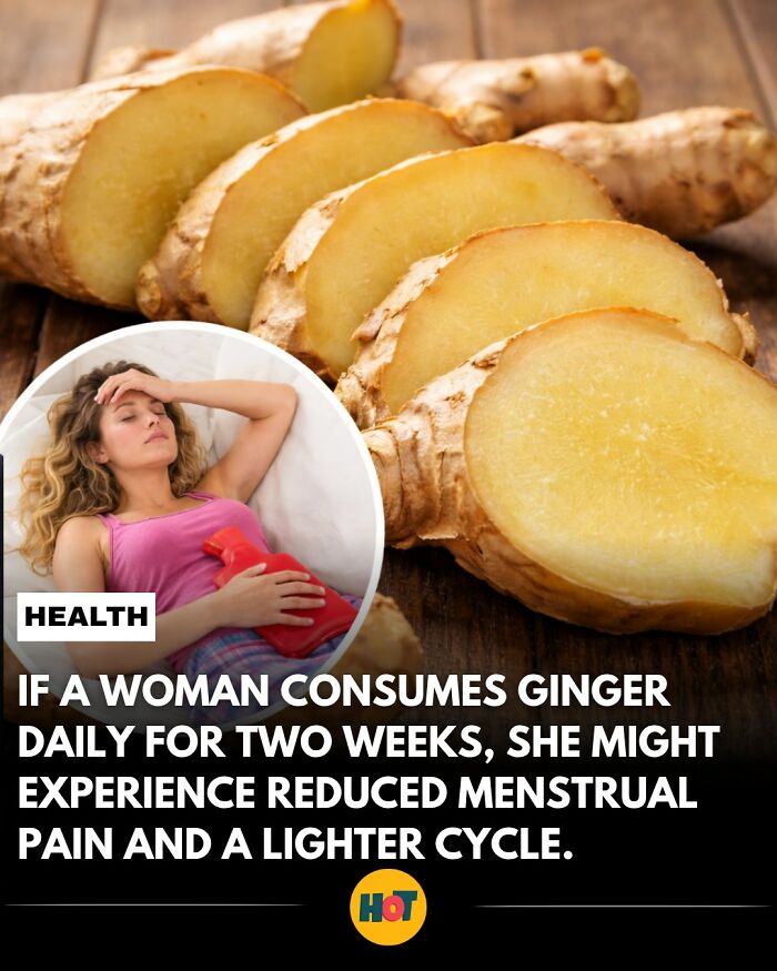 Interesting-Facts-Heaven-Of-Tips