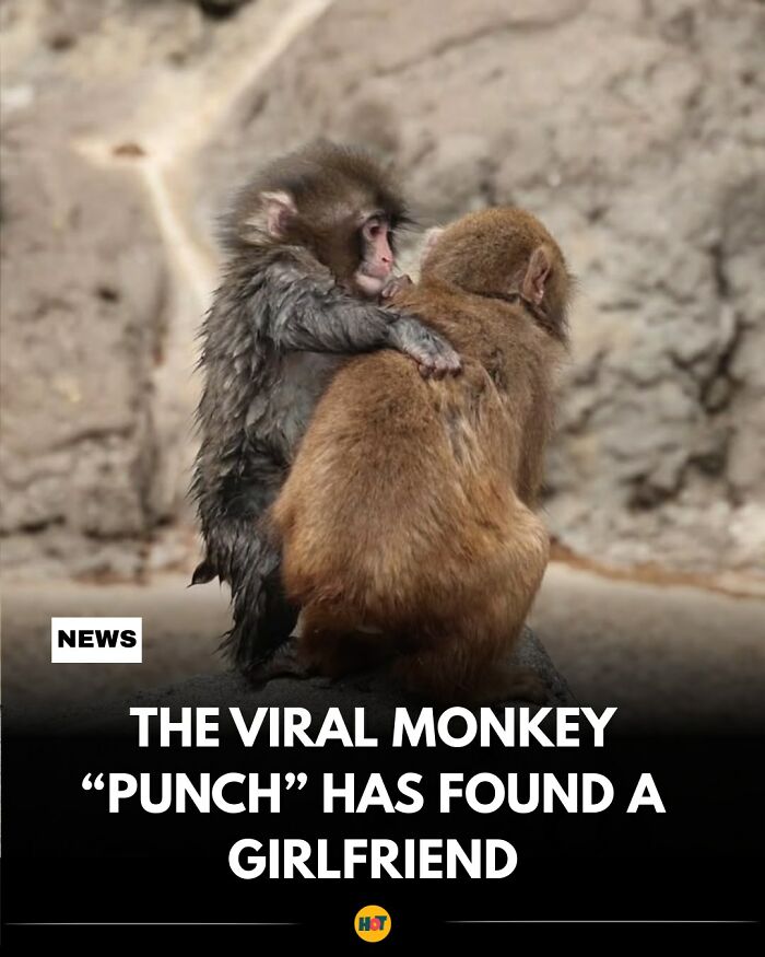 Interesting-Facts-Heaven-Of-Tips