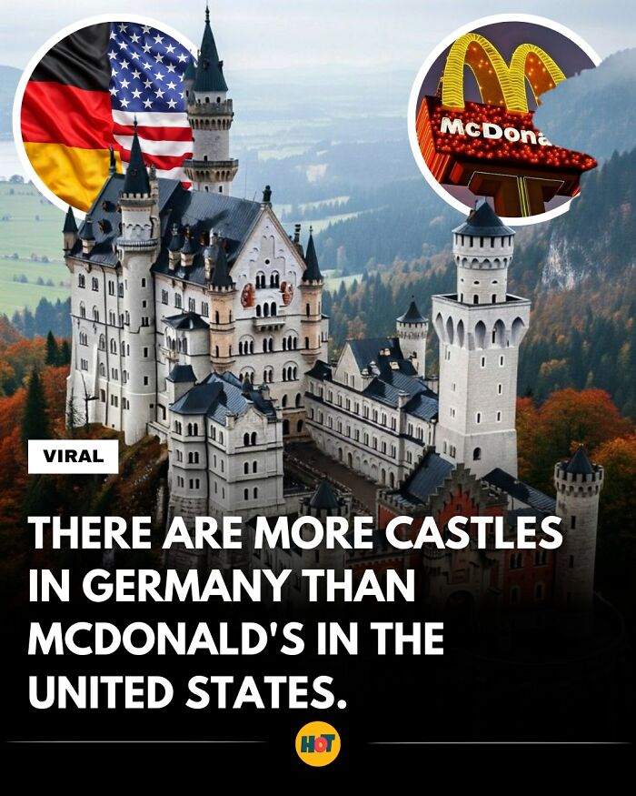 Interesting-Facts-Heaven-Of-Tips