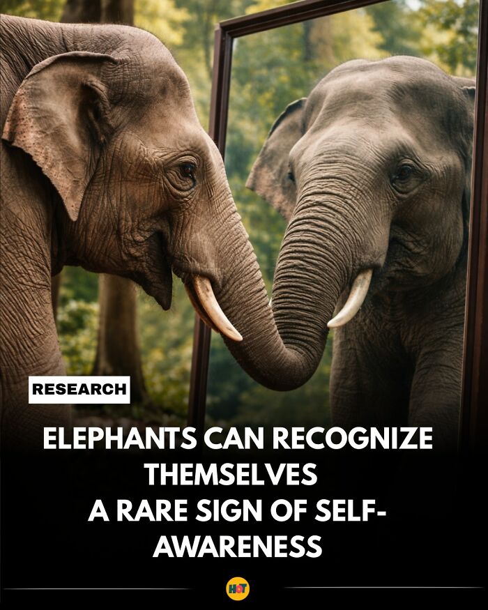 Interesting-Facts-Heaven-Of-Tips