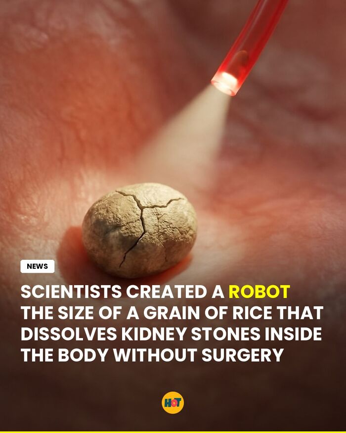 Interesting-Facts-Heaven-Of-Tips