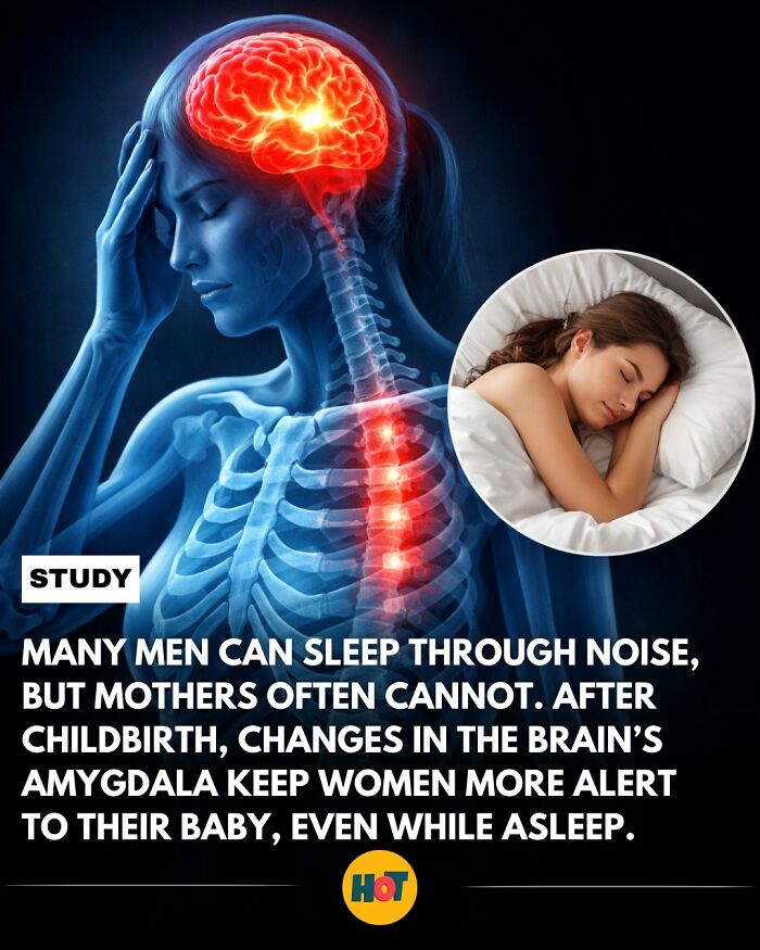 Interesting-Facts-Heaven-Of-Tips