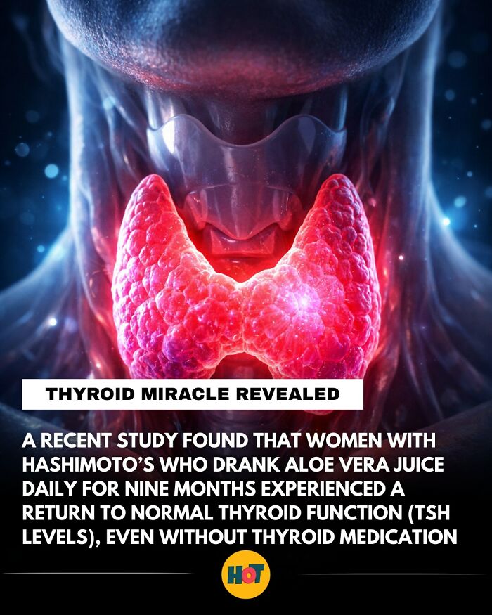 Interesting-Facts-Heaven-Of-Tips