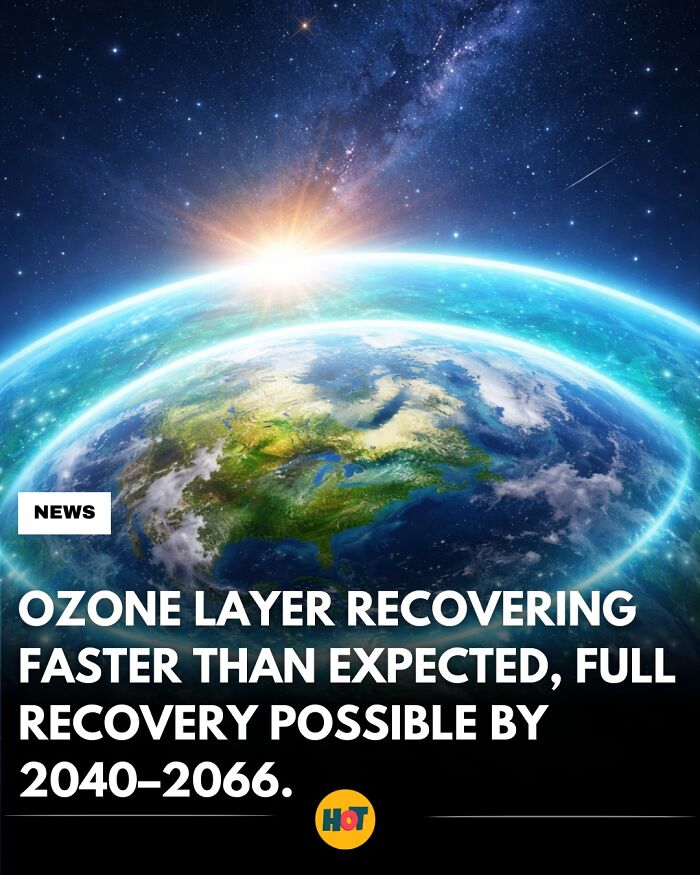 Interesting-Facts-Heaven-Of-Tips