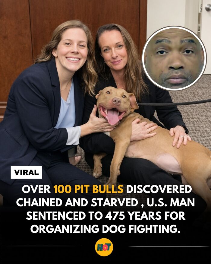 Interesting-Facts-Heaven-Of-Tips