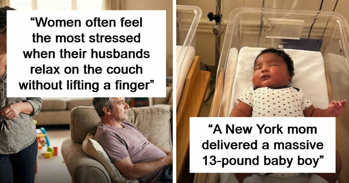 “Punch Has Found A Girlfriend”: 81 Pieces Of Positive Content And Cool Facts That Arrived Right On Time