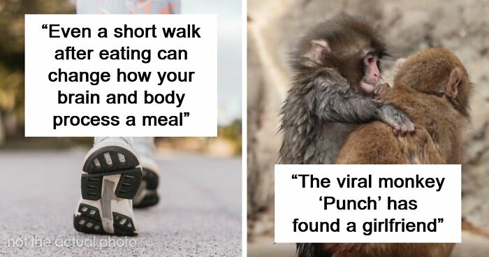 “Heaven Of Tips”: 81 Facts That Might Actually Teach You Something New