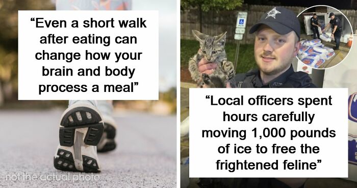 “Heaven Of Tips”: 81 Facts That Might Actually Teach You Something New