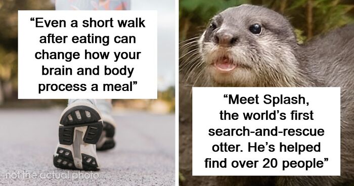 “Heaven Of Tips”: 81 Facts That Might Actually Teach You Something New