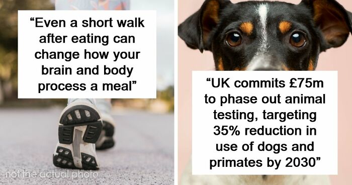 “Heaven Of Tips”: 81 Facts That Might Actually Teach You Something New