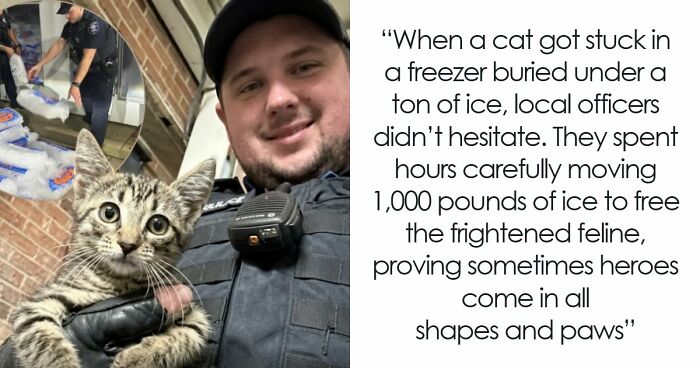 “Heaven Of Tips”: 81 Facts That Might Actually Teach You Something New