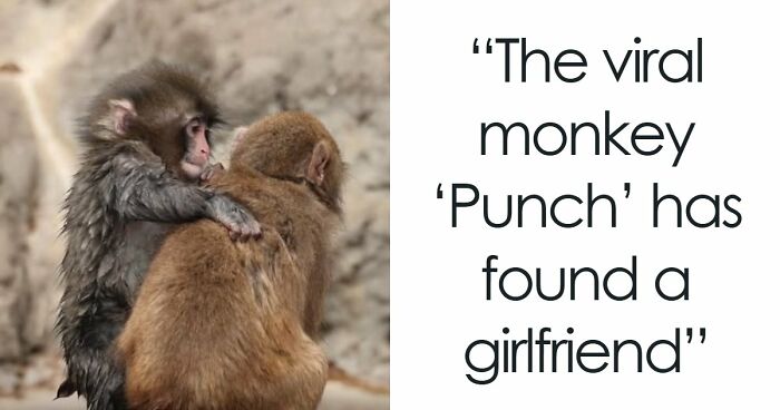 “Heaven Of Tips”: 81 Facts That Might Actually Teach You Something New