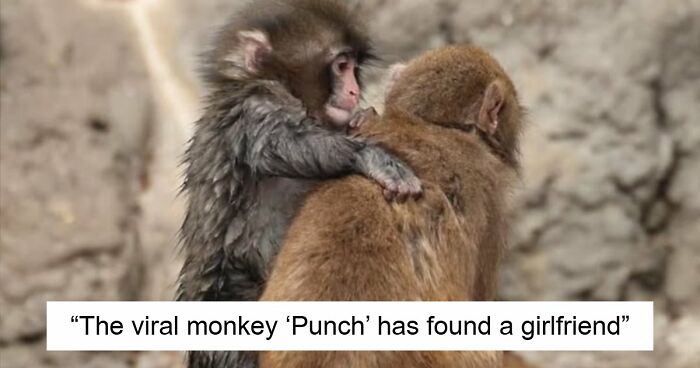 “Heaven Of Tips”: 81 Facts That Might Actually Teach You Something New