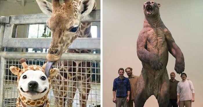 59 Amazing Facts About Our World To Keep You Busy And Learning For A Few Minutes