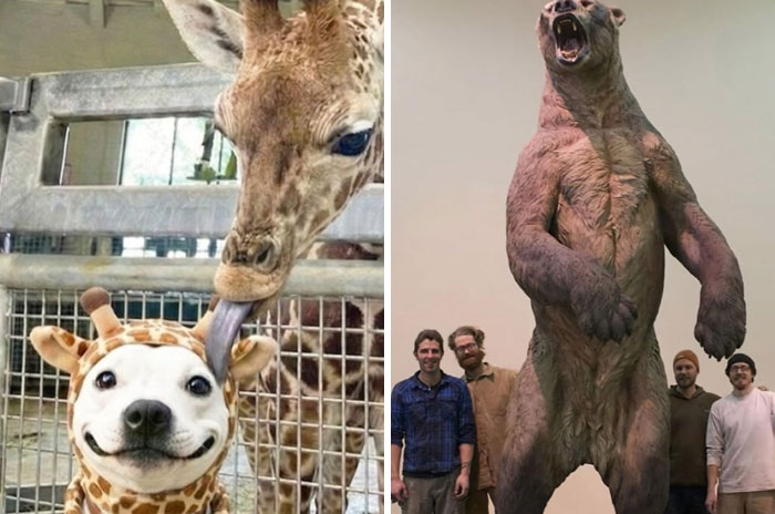 59 Amazing Facts About Our World To Keep You Busy And Learning For A Few Minutes