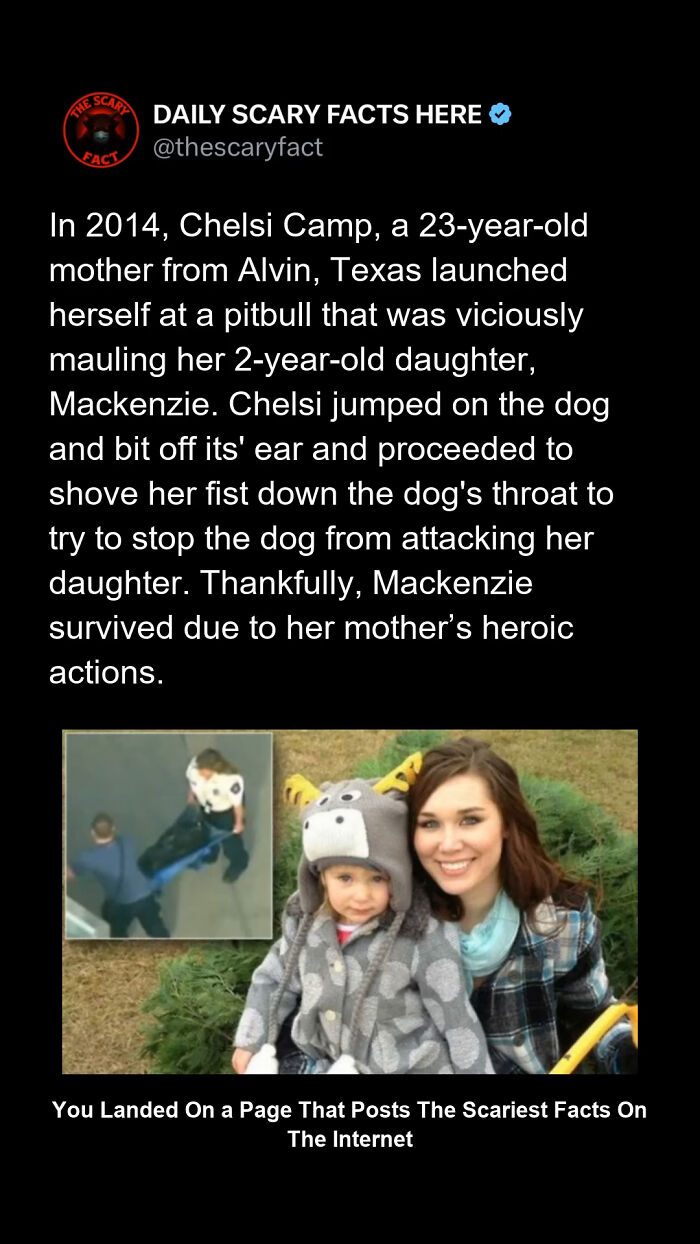 Scary fact about a mother heroically saving her child from a vicious pitbull attack in Texas in 2014.