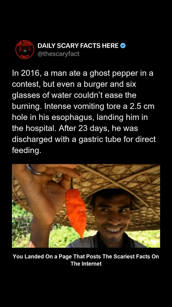 Man holding a bright red ghost pepper, illustrating a scary fact about the dangers of eating extremely hot peppers.