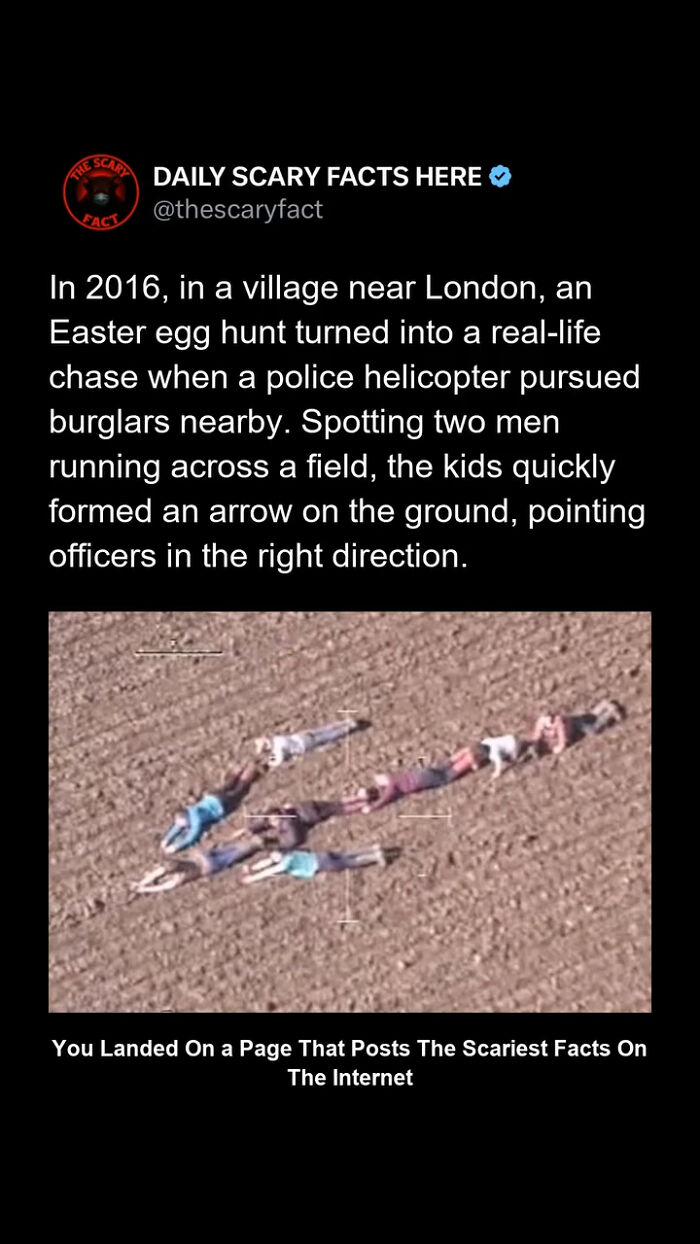 Kids forming an arrow on the ground to help police during a real-life chase in a scary fact about an Easter egg hunt incident.