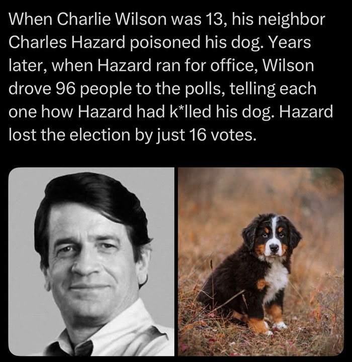 Man's neighbor poisoned his dog, leading him to influence an election outcome in this scary fact about regret.