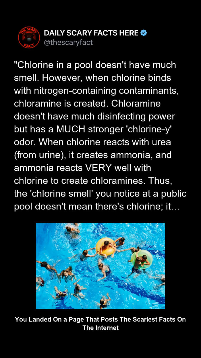 People swimming in a pool illustrating scary facts about chlorine and chloramine odors in public swimming pools.
