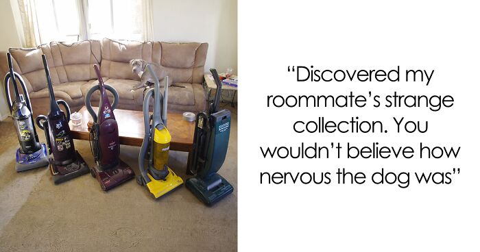 People Reveal The Things They Are So Obsessed With That It Grew Into A Collection (New Pics)