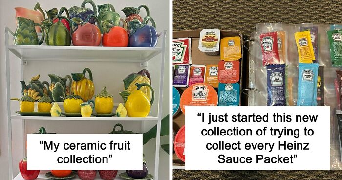 People Reveal The Things They Are So Obsessed With That It Grew Into A Collection (New Pics)