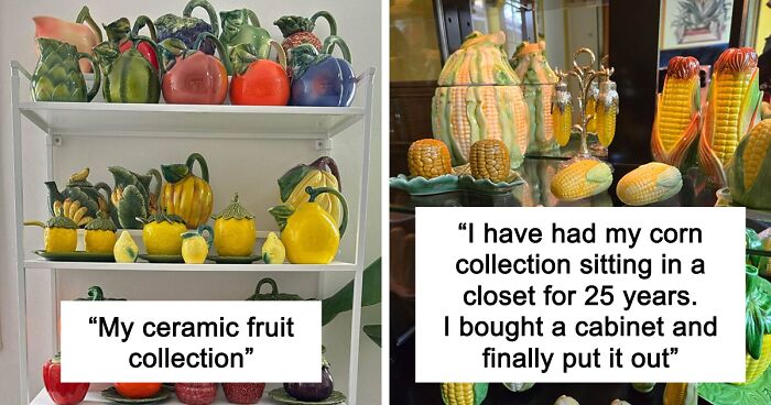 People Reveal The Things They Are So Obsessed With That It Grew Into A Collection (New Pics)