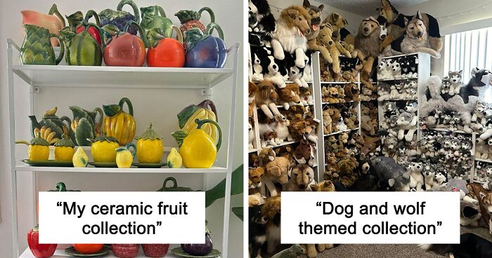 People Reveal The Things They Are So Obsessed With That It Grew Into A Collection (New Pics)