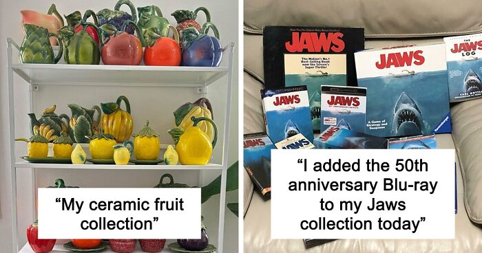 People Reveal The Things They Are So Obsessed With That It Grew Into A Collection (New Pics)