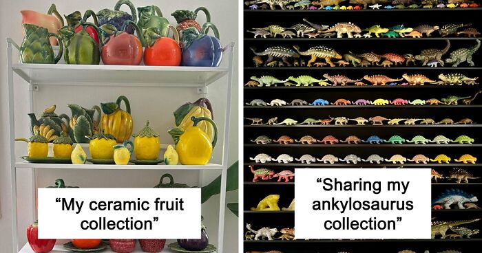 People Reveal The Things They Are So Obsessed With That It Grew Into A Collection (New Pics)